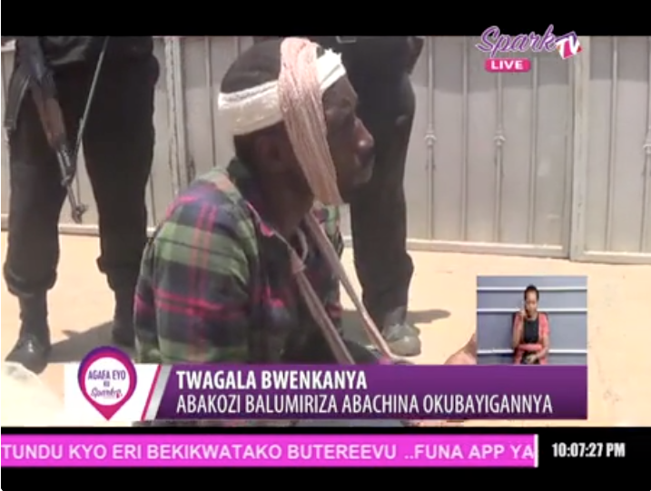 SPARK TV tweet media