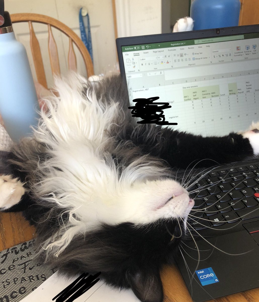 Magicmom's tweet photo. @LilOldAl https://t.co/CGWX2uF1tP