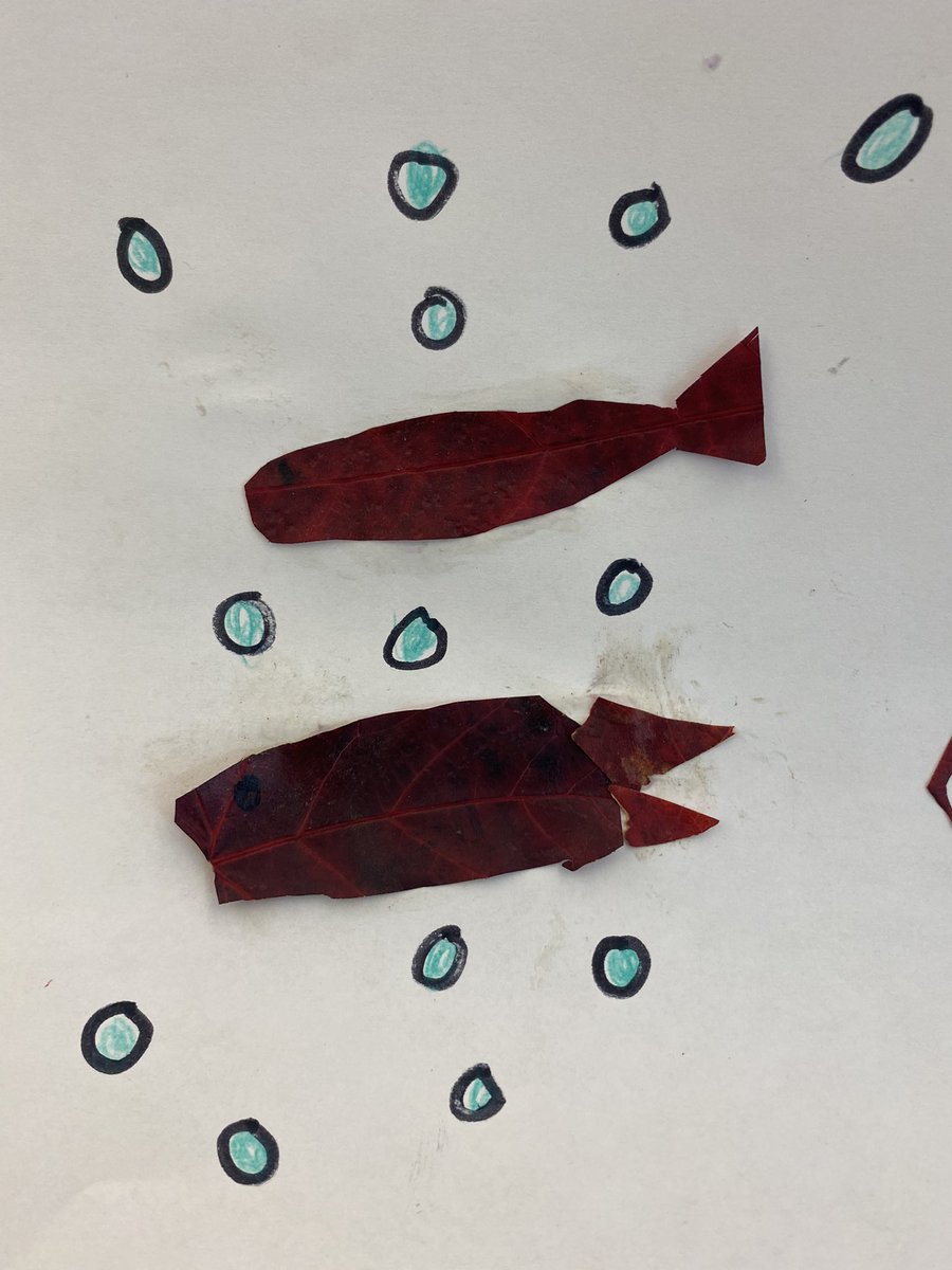 Students created art using materials from the earth. A great fall activity! <a href="/SawmillCreekES/">Sawmill Creek</a> <a href="/OCDSB/">OCDSB</a>