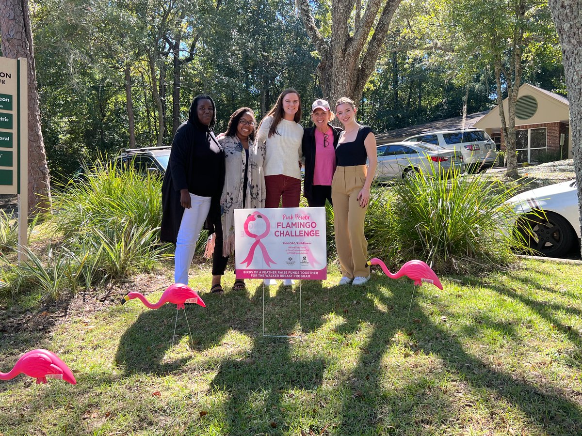The Pediatric Behavioral Health Navigation Team is going to Tallahassee Memorial Healthcare Foundation and First Commerce Credit Union for the third annual #flamingochallenge