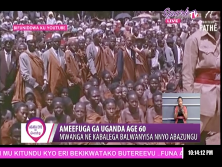 SPARK TV tweet media