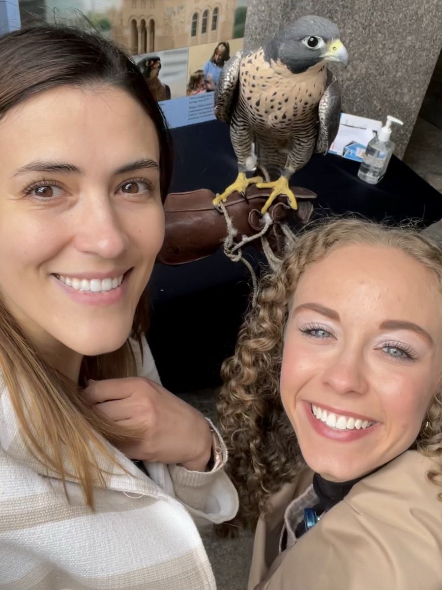Elliana Rudquist (@ellianarudquist) on Twitter photo Mid day lunch break seeing the <a href="/MayoClinic/">Mayo Clinic</a> falcon with <a href="/MartinaGluscevi/">Martina Gluscevic 🐾</a> 🦅 I think this is how <a href="/GarmanyRamin/">Ramin Garmany</a> side eyes us when we keep interrupting his data analysis and noise cancelling headphones to ask him unimportant questions in the office 😂 Mid day lunch break seeing the <a href="/MayoClinic/">Mayo Clinic</a> falcon with <a href="/MartinaGluscevi/">Martina Gluscevic 🐾</a> 🦅 I think this is how <a href="/GarmanyRamin/">Ramin Garmany</a> side eyes us when we keep interrupting his data analysis and noise cancelling headphones to ask him unimportant questions in the office 😂