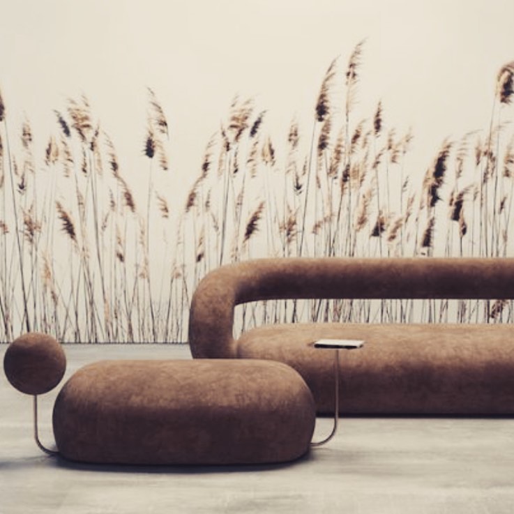 AbeDecorStudio's tweet photo. La #formaydiseño del #mobiliario siempre va de la mano con el #tapizado y los detalles de los acabados finales.
En #abedecorstudio #diseñamostusmuebles ofrecemos una amplia variedad #telasexclusivas #telascoloridas #papeltapiz #pisosdevinil ideales para los #proyectodedecoracion https://t.co/YaFZ9DSJXV