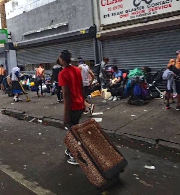 El Necio tweet media