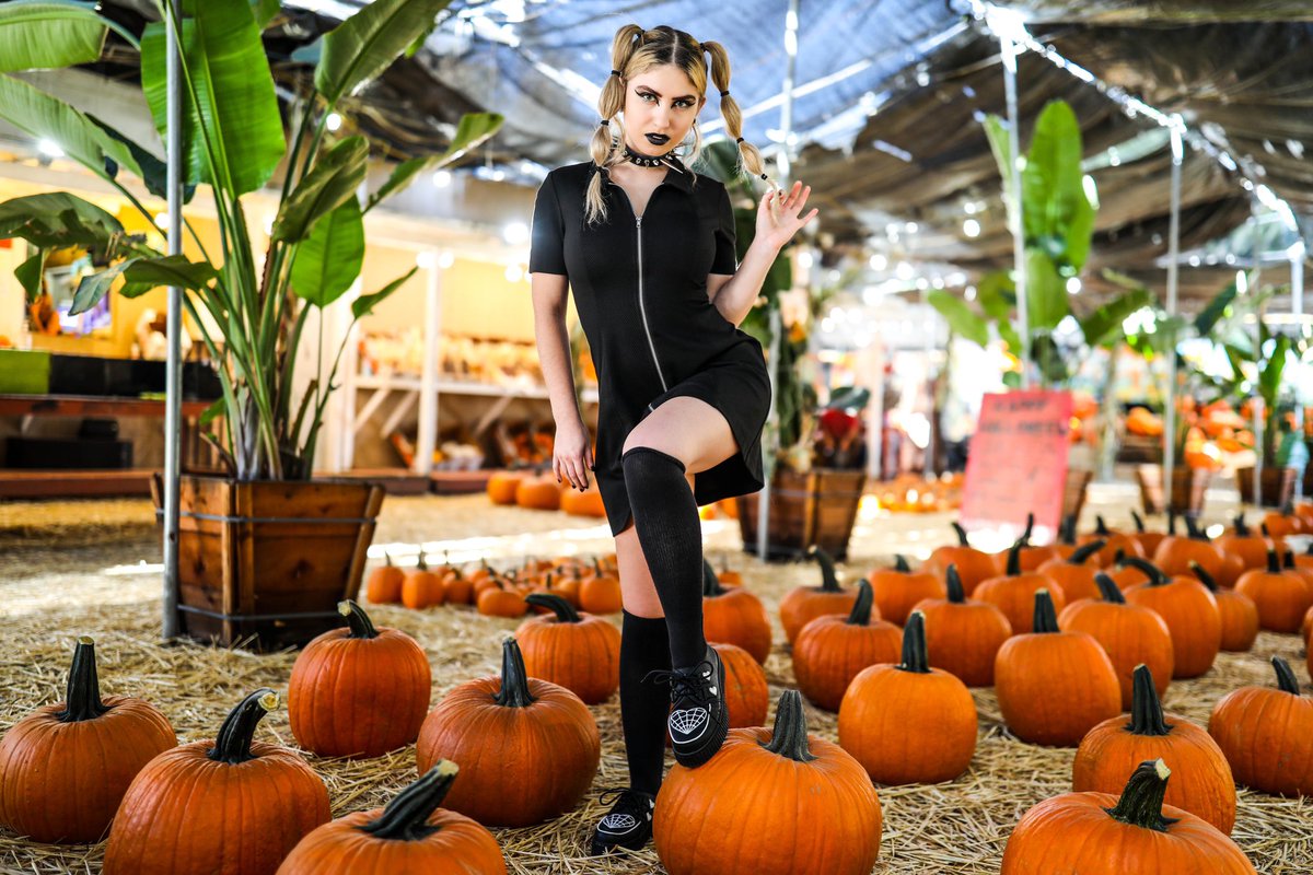 imnoizith's tweet photo. Kicking off SPOOKY SEASON with #StrangeCvlt shoes! / πΈ @jpeg01 https://t.co/hbnO4iSmNH