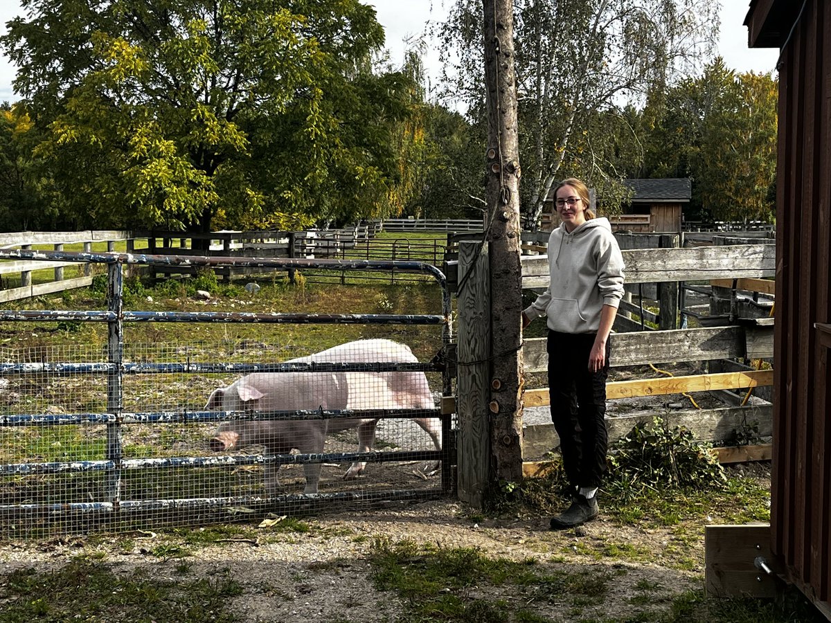Stratford_DSS's tweet photo. Pictured here is Cooperative Education student Halle Diehl at her placement at Out of the Ashes. #SDSSGoldenBears #CoopWorks #OYAP #PathwaytoyourFuture https://t.co/RxJYQNklUq
