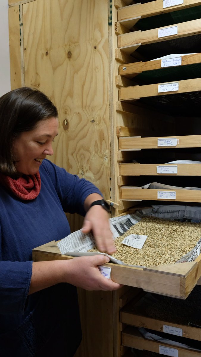 Inspiring morning chatting oats with @dbmorrissey and exploring the @IrishSeedSavers seed bank - established in 1991 to protect Ireland's food crop heritage 🧅🌾🍏#agrobiodiversity #seedbank #futurefood