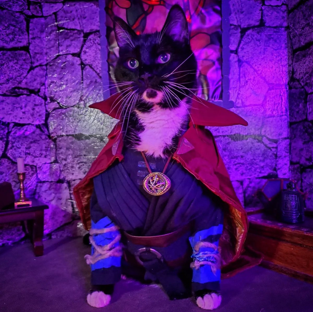 Cat_Cosplay's tweet photo. Learned to manipulate Time in order to eat Breakfast twice.

#DoctorStrange https://t.co/wQE8uw2yRm