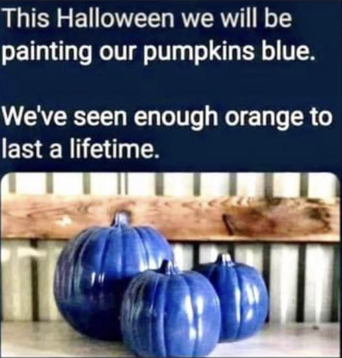 John79003104's tweet photo. #LetsRollBlue https://t.co/q76MUKJqtM