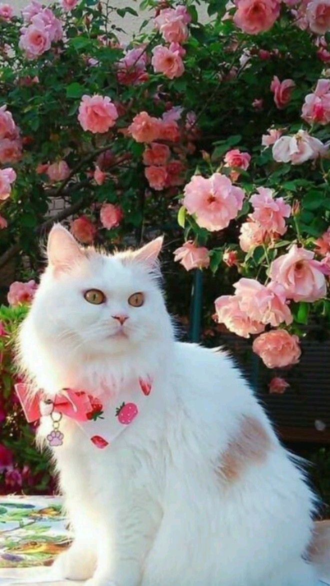 𝗔𝗿𝘁𝗶𝘀𝘁𝗶𝗰 ❦ tweet media