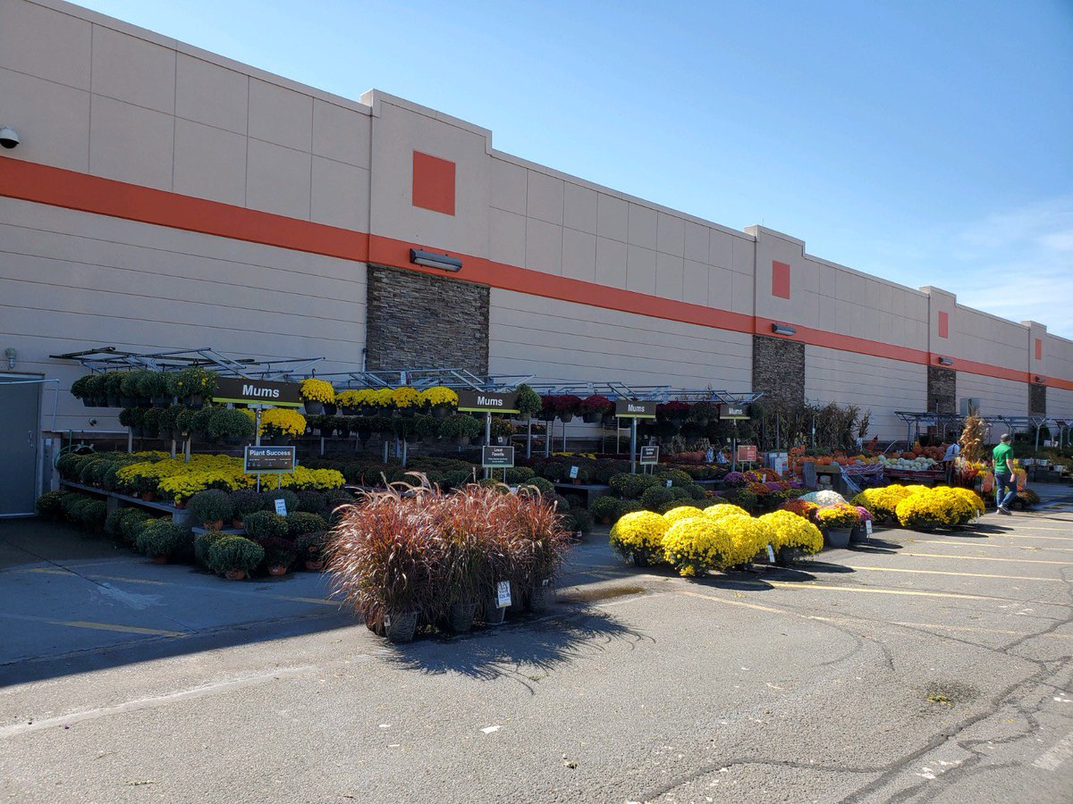 renee wood (@rwoodsgh) on Twitter photo Garden putting on a Super show of color in the Super Store. #915 <a href="/ChristineTHD/">Christine Sweeney</a> <a href="/daryl_hagen/">Daryl Hagen</a> <a href="/HazemElrashidi/">hazem elrashidi</a> <a href="/MatthewWoodsgh/">Matthew</a> <a href="/nyyroro/">Ro Rodriguez</a> Garden putting on a Super show of color in the Super Store. #915 <a href="/ChristineTHD/">Christine Sweeney</a> <a href="/daryl_hagen/">Daryl Hagen</a> <a href="/HazemElrashidi/">hazem elrashidi</a> <a href="/MatthewWoodsgh/">Matthew</a> <a href="/nyyroro/">Ro Rodriguez</a>
