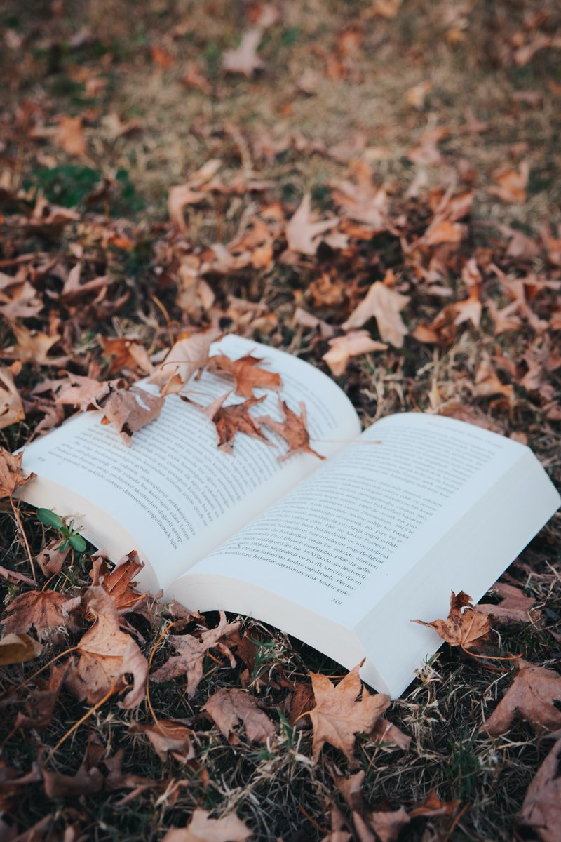 Fall is a great time to catch up on your reading! Check out these two lists to find your next great read. Fall 2022 Book Preview: chipublib.bibliocommons.com/list/share/199… Classic Books to Cozy up with: chipublib.org/blogs/post/bac…