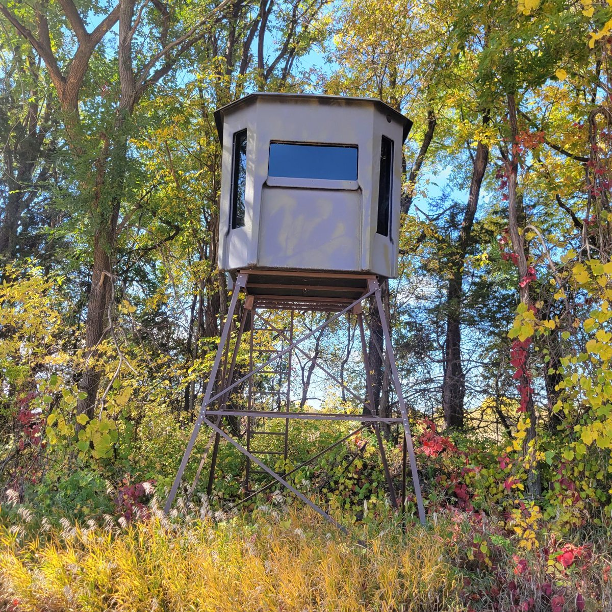 MattBergmannLEC's tweet photo. We have worked hard to make our  HQ an enjoyable place to work!

Our 30-acre HQ is home to 15  office employees. Some perks include being dog friendly, outdoor patios, conference rooms, kitchen, large indoor gym,  collaboration spaces, a clay target thrower and deer stand! https://t.co/zN7giazYhz