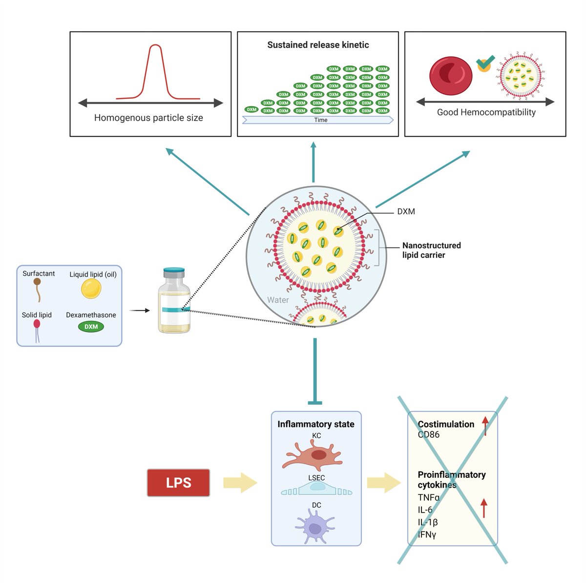 The potential use of #nanotechnology in the treatment of #liverdisease was examined in the recent publication of Medina-Montano et al. Authors demonstrated the potential of nanostructured lipid carriers as delivery vehicles for glucocorticoids.

Full text: lnkd.in/eb2x-3gH