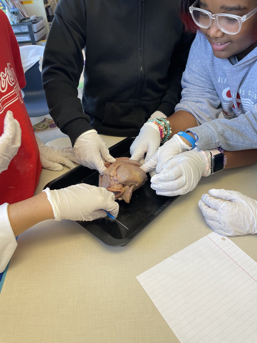 MsRubinSTEM's tweet photo. 4/5 TAG has ❤️! Busy day making blood, dissecting a 🐷❤️and receiving our white coats #minimedschool ⁦@vickerymill⁩ https://t.co/gWk5NsjI5o