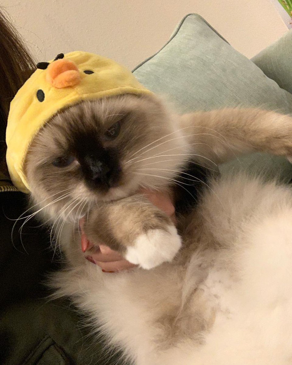 Its world! Your world, our world