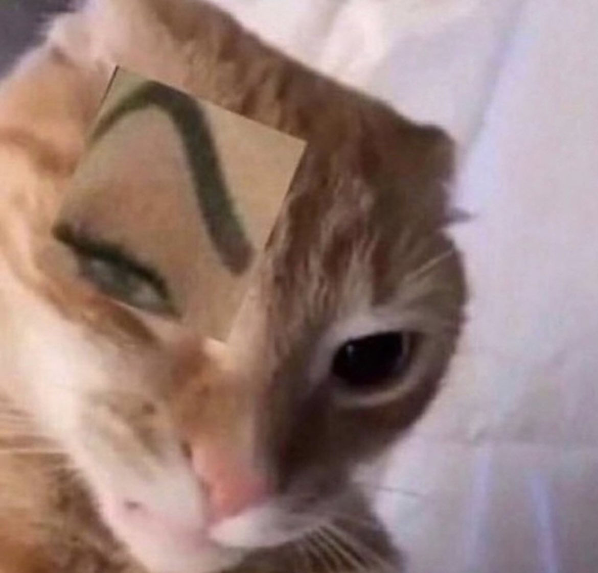 FeaQtSOUYAAvTvS.jpg