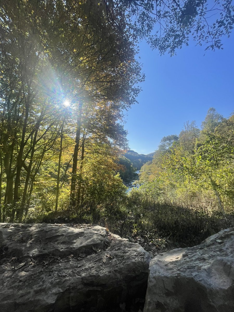 hme512's tweet photo. CAMS Fall Bike Ride… 🍁💪🏼💙 https://t.co/M7Jyot9STO