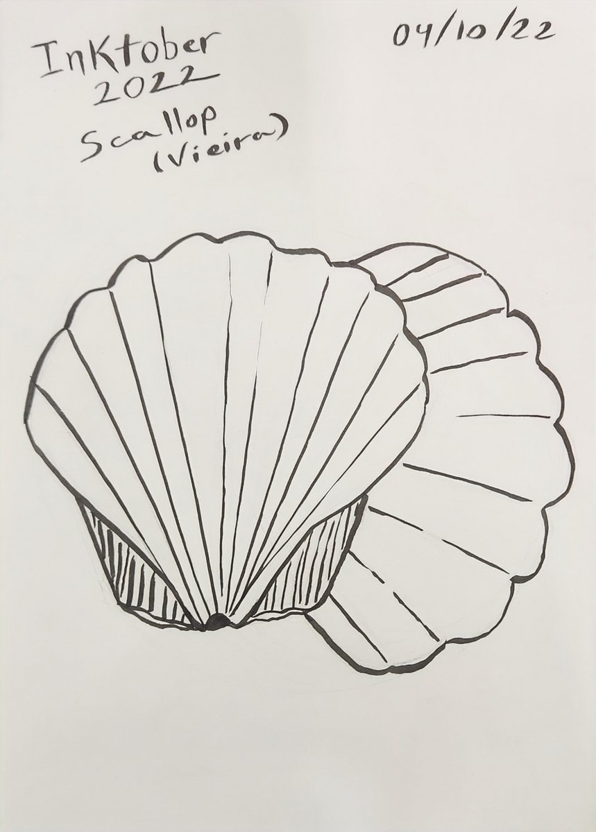 trasgo's tweet photo. Inktober 2022
Palavra dia 4: Scallop
@inktober @inktoberbr #inktober #inktober2022 https://t.co/x3eTX2dQF9