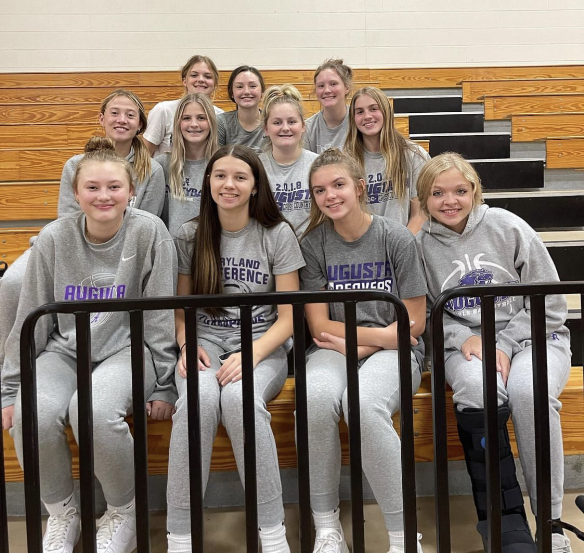 Augusta Volleyball will #DigPink tonight at their home match against Alma-Pepin!  Come and support the Lady Beavers and support breast cancer awareness too!  There will be a 50-50 raffle with half of the proceeds going to the winner and half donated to breast cancer research.