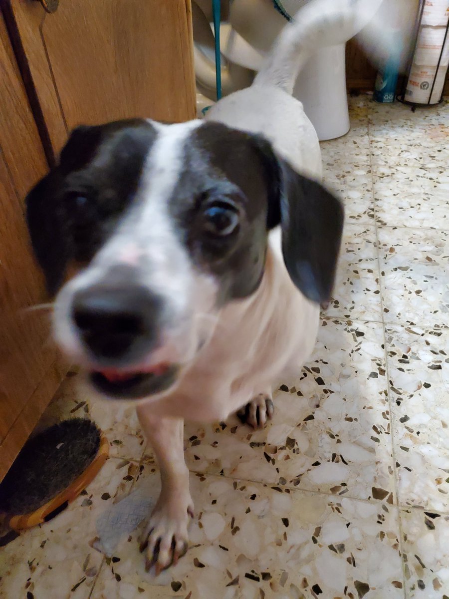 chuesies's tweet photo. YOU! LET ME LICK YOU! https://t.co/bZeZmPSzjW