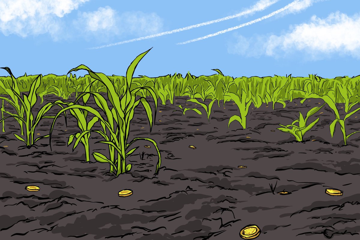 Corntown tweet media