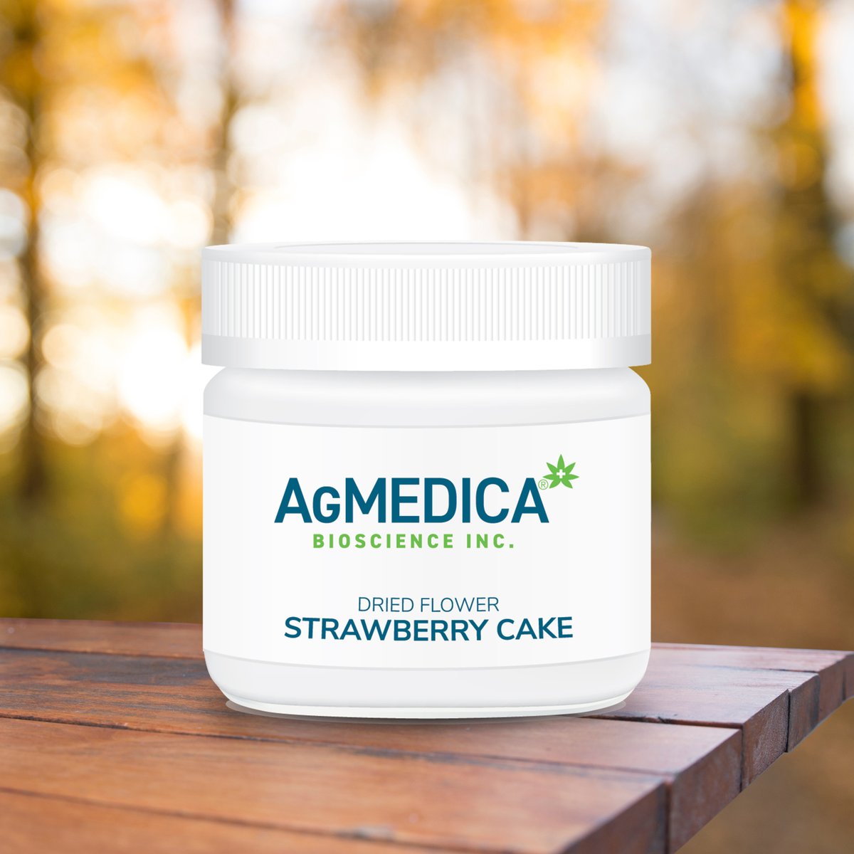 AgMedicaBio's tweet photo. Dried flower is a popular choice for many of our medical clients. To see the variety of strains that we have available, visit our website:

https://t.co/yjTZq5KSLY

#AgMedica #LicensedProducer #MedicalCannabis #MedicalPatients https://t.co/4CYMeLx11R
