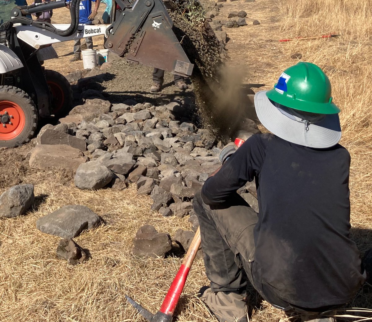 Mitchell tweet media