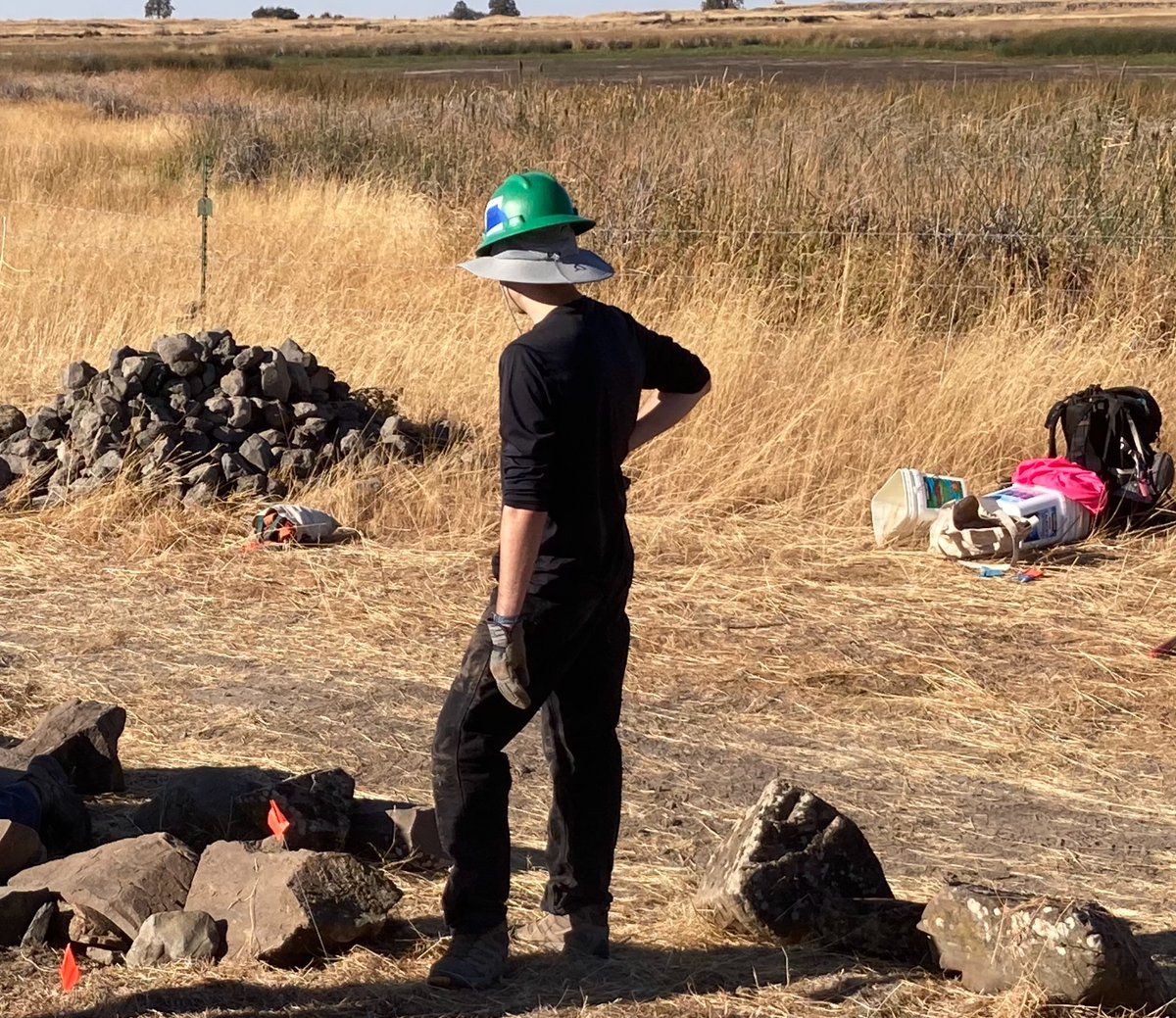 Mitchell tweet media