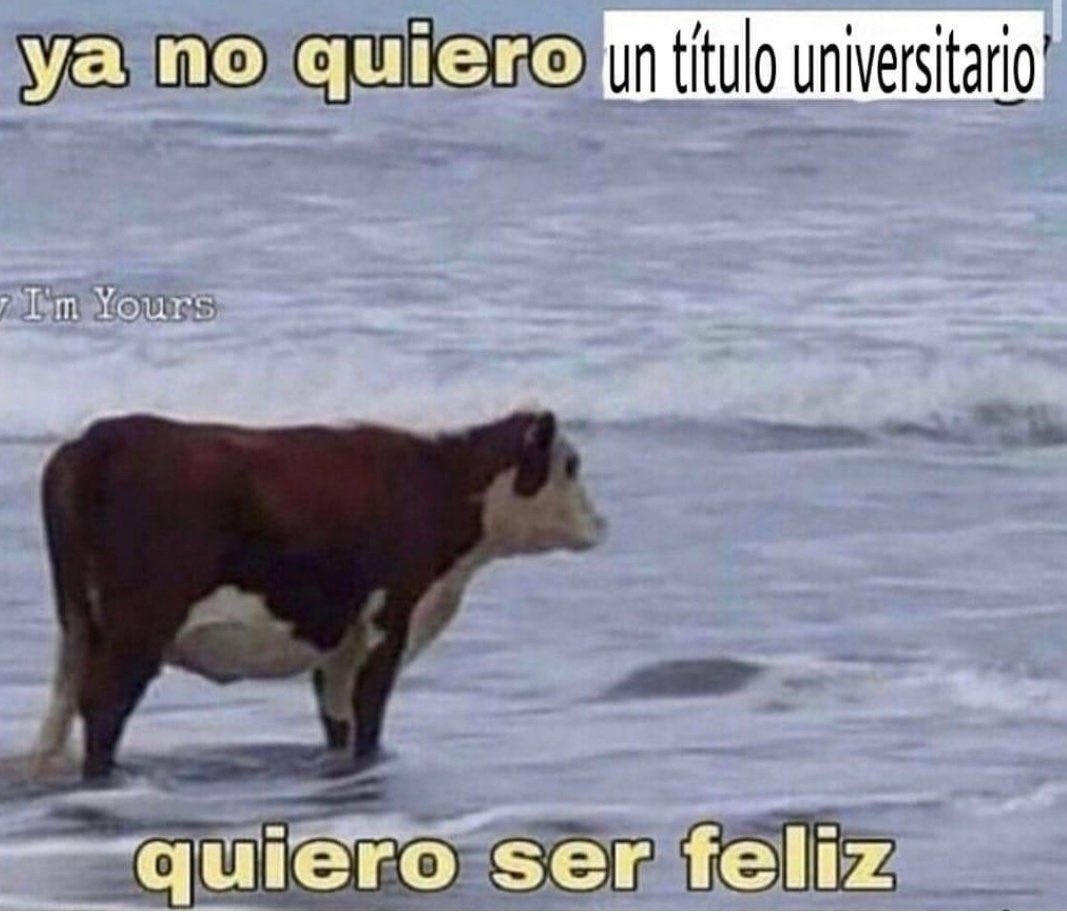 Wuolah (@wuolah) on Twitter photo 