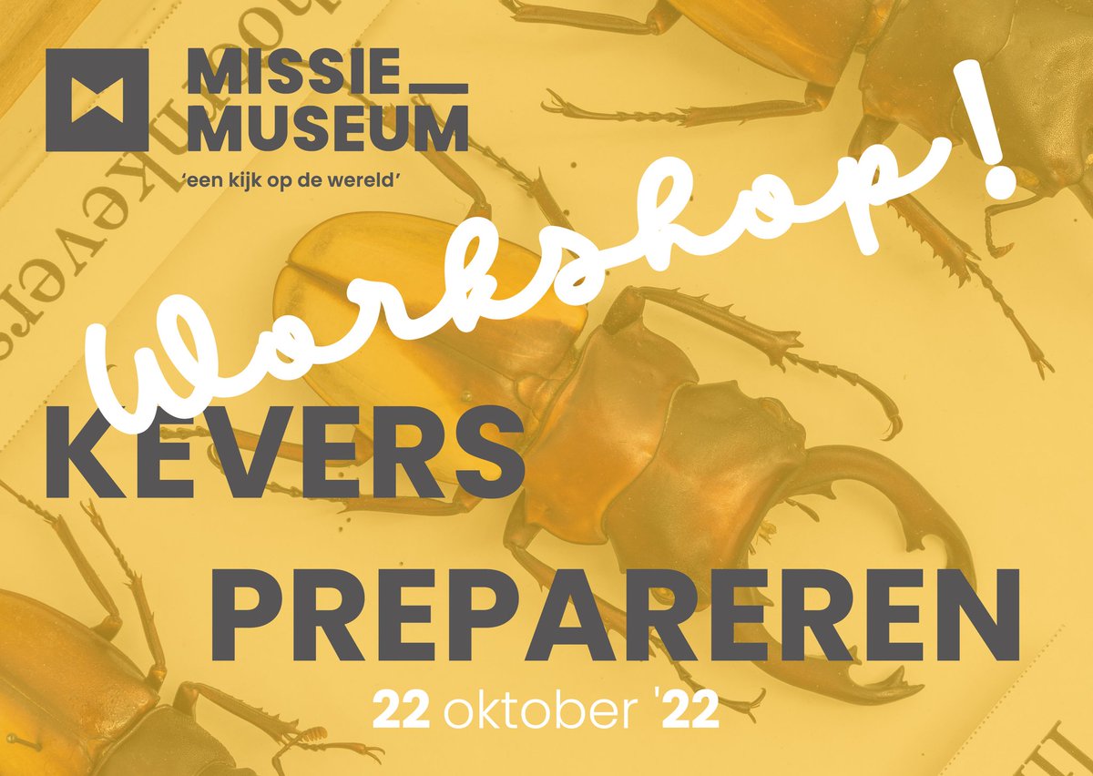 missiemuseum's tweet photo. πππ₯ππ¦π§π©ππππ‘π§ππ #WorkshopPrepareren
https://t.co/vPSn2nwpjU
Herfstvakantie π
#taxidermie #prepareren #insectenprepareren #uittips #hartvanlimburg #visitvenlo #venloverrast #kloosterdorpsteyl #herbstferien #autumnholiday https://t.co/GlKmHhFI1M