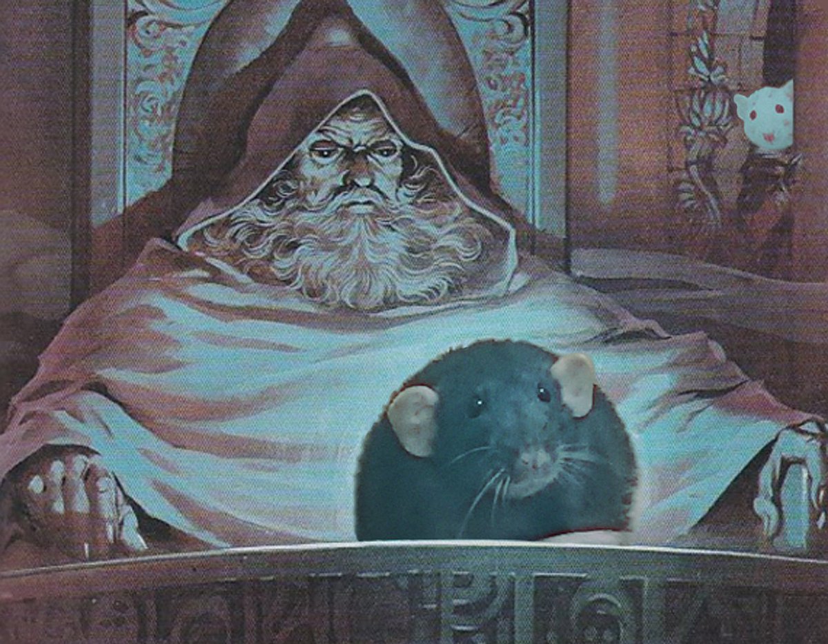 Risto_Licious's tweet photo. @RatSquinks (pondering the orb) https://t.co/WI75UE06Kv