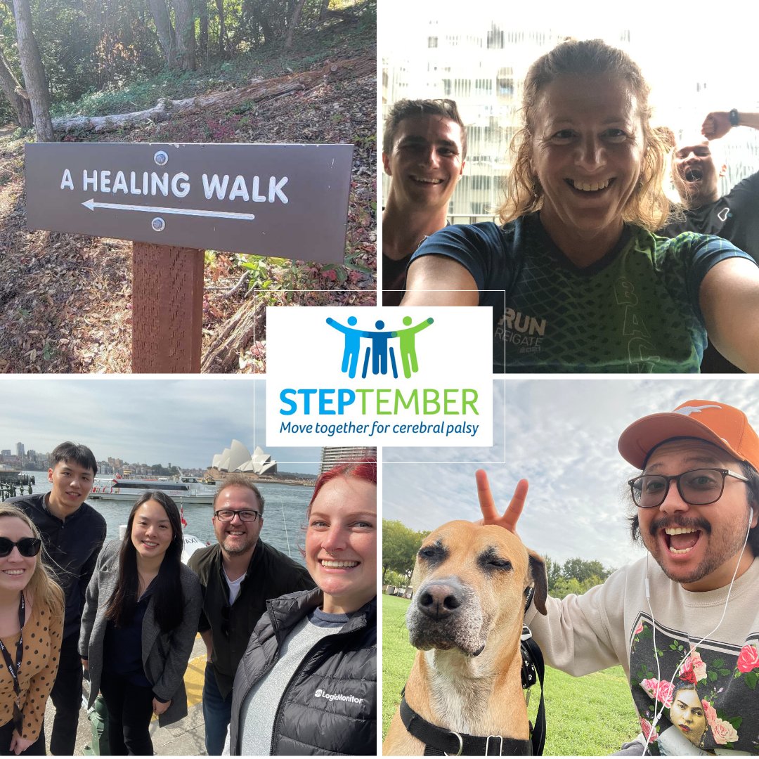 Alyene Schneidewind tweet media