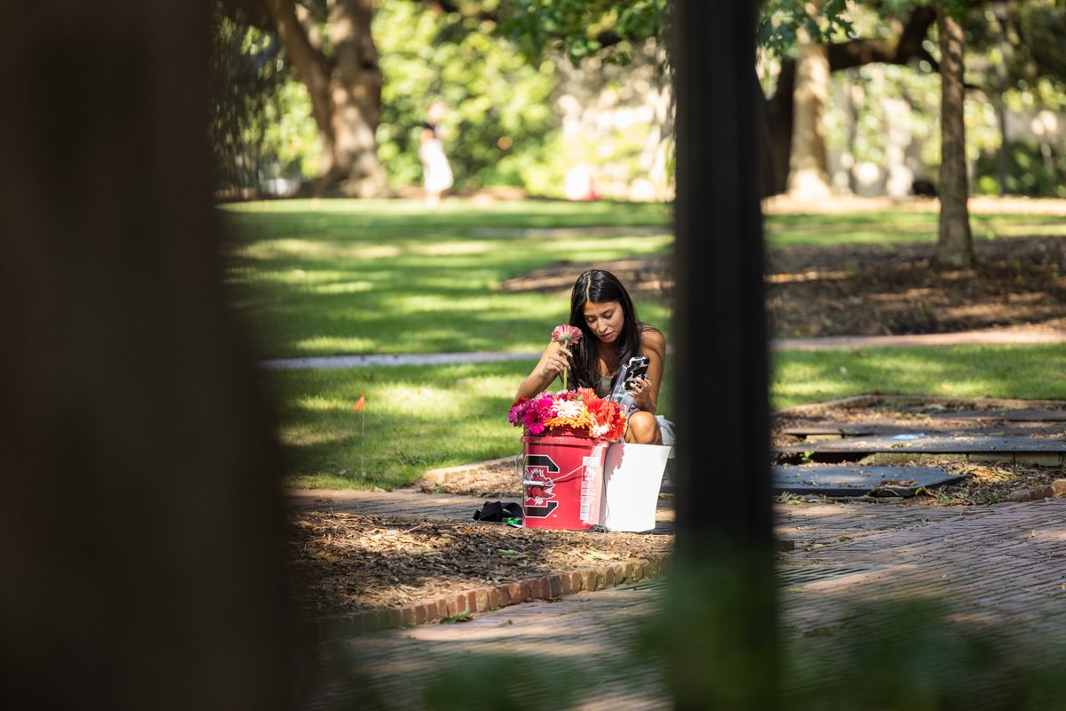 University of South Carolina tweet media