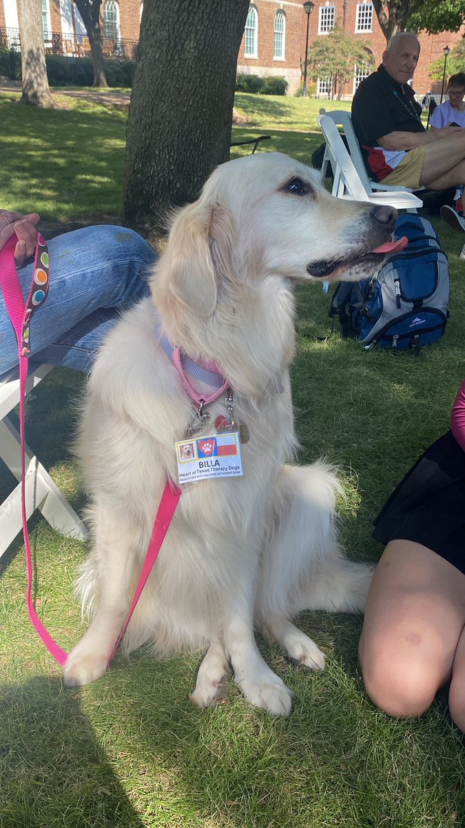 caleigh_d's tweet photo. The Office of the Chaplain and Religious Life has therapy dogs and Jimmy Johns on Clements Hall Lawn. https://t.co/94gMcYoq1F