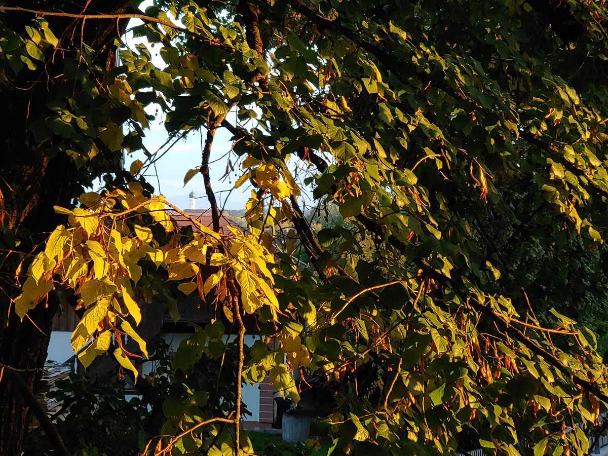 realNiyari's tweet photo. Es ist wieder #Herbst.
Nach einer andauernden schlechtwetter-Zeit zeigt sich der #Oktober von einer ganz besonderen Seite. https://t.co/i7eMj2YFAJ