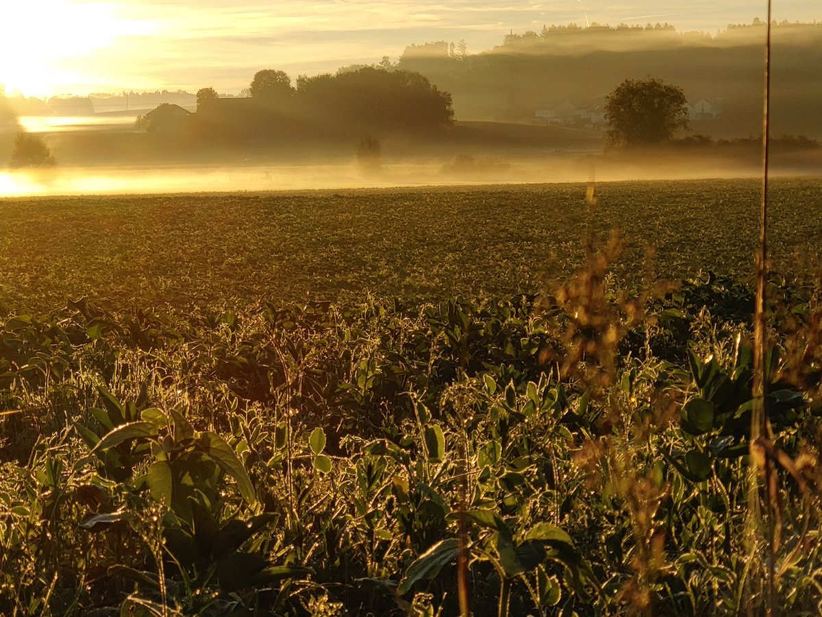 realNiyari's tweet photo. Es ist wieder #Herbst.
Nach einer andauernden schlechtwetter-Zeit zeigt sich der #Oktober von einer ganz besonderen Seite. https://t.co/i7eMj2YFAJ