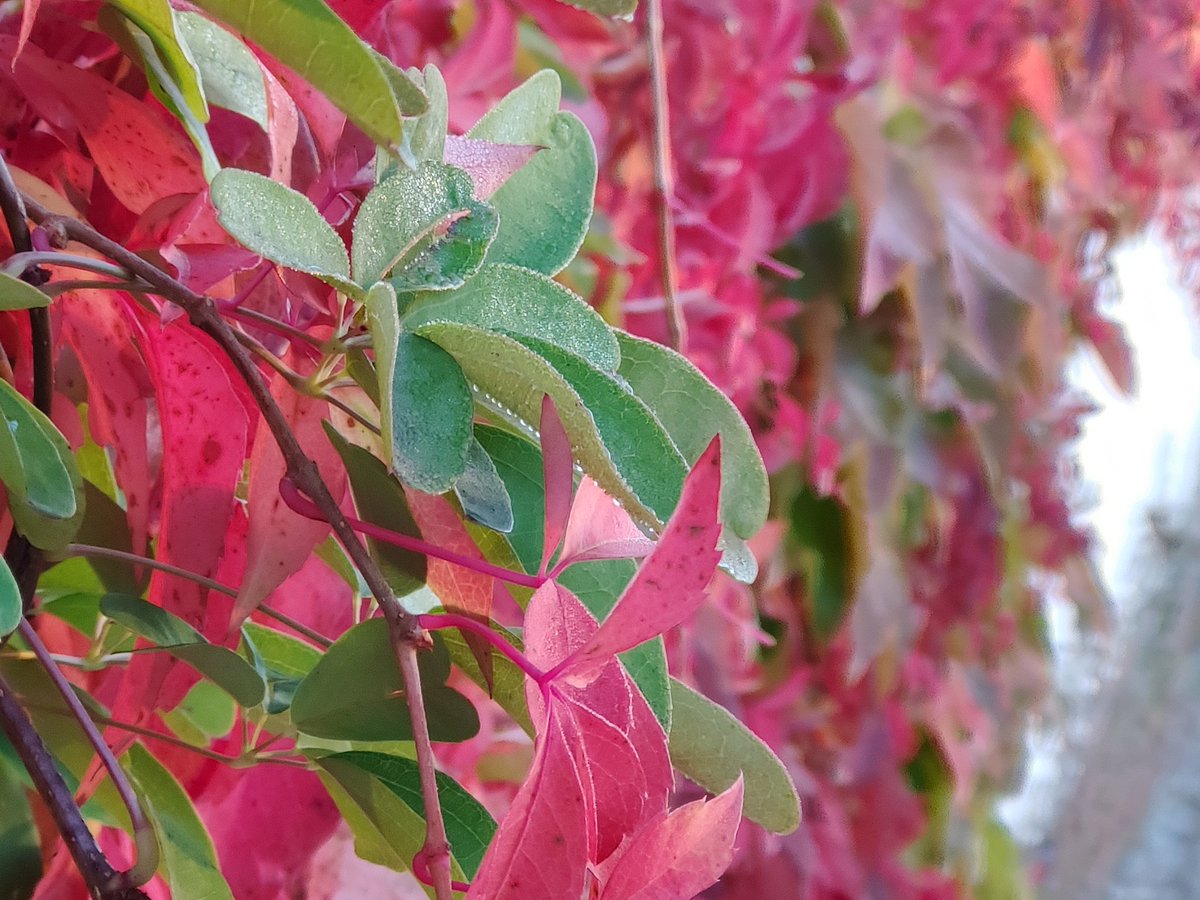 realNiyari's tweet photo. Es ist wieder #Herbst.
Nach einer andauernden schlechtwetter-Zeit zeigt sich der #Oktober von einer ganz besonderen Seite. https://t.co/i7eMj2YFAJ