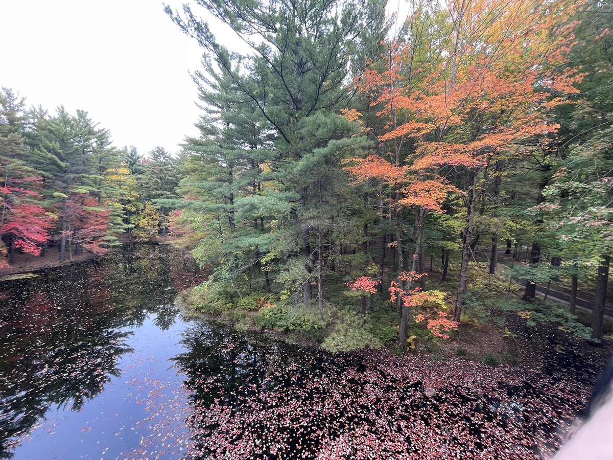 ♬ Theresa M tweet media