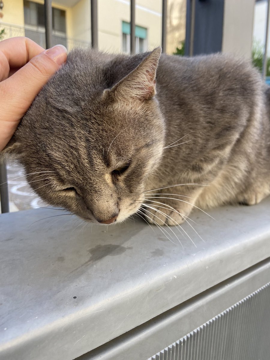 lalala67484's tweet photo. unico amore mio https://t.co/FpoG0IJdQG