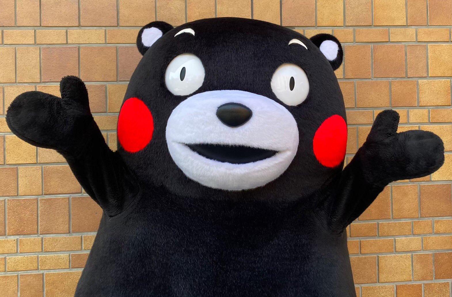 くまモン【公式】 on Twitter: