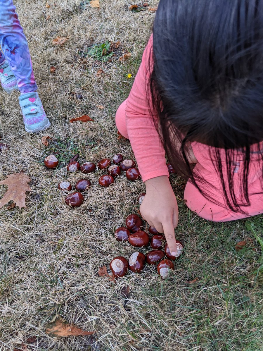 lwongmontessori's tweet photo. Counting while touching each chestnut reinforces Kindergarten students' understanding of one-to-one correspondence. @ConnaughtElem #learningoutdoor https://t.co/cCy7bDszmm