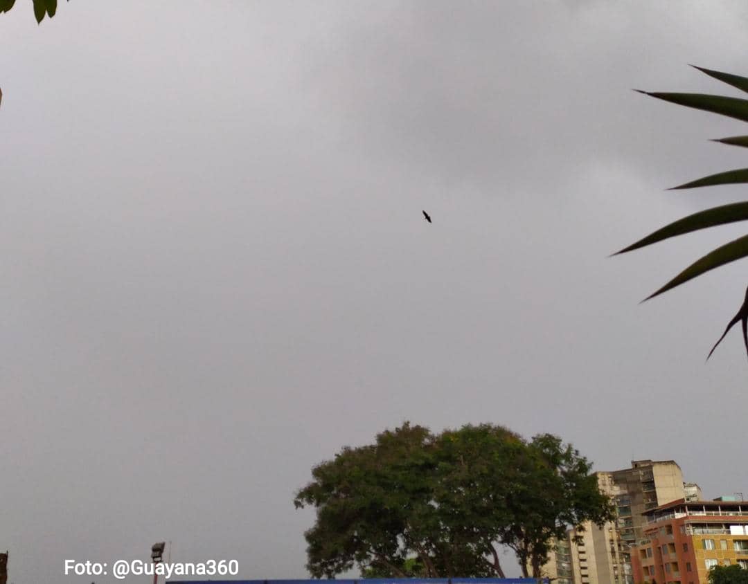 QPEV_'s tweet photo. #PulsoRegional #Bolivar #Lluvias #6Oct 3:55 P.M.
#CiudadGuayana Reportan fuertes precipitaciones con descargas eléctricas en San Felix. Se agradece información sobre afectaciones en sus comunidades.
Vía: @LaTuristaKAM
Fuente: #GASEC
Foto: @Guayana360 https://t.co/RkqxfvLInw