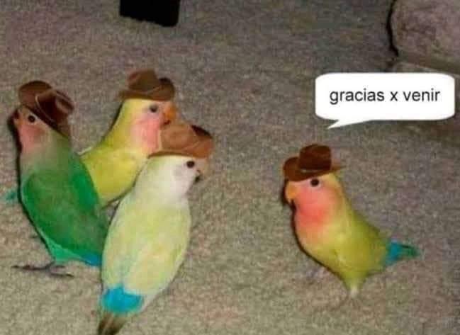 Guarromantico_'s tweet photo. Mi mamá: invita a todos tus amigos para tu cumple

Yo con mis 3 amigos: https://t.co/0s8XVzn45l