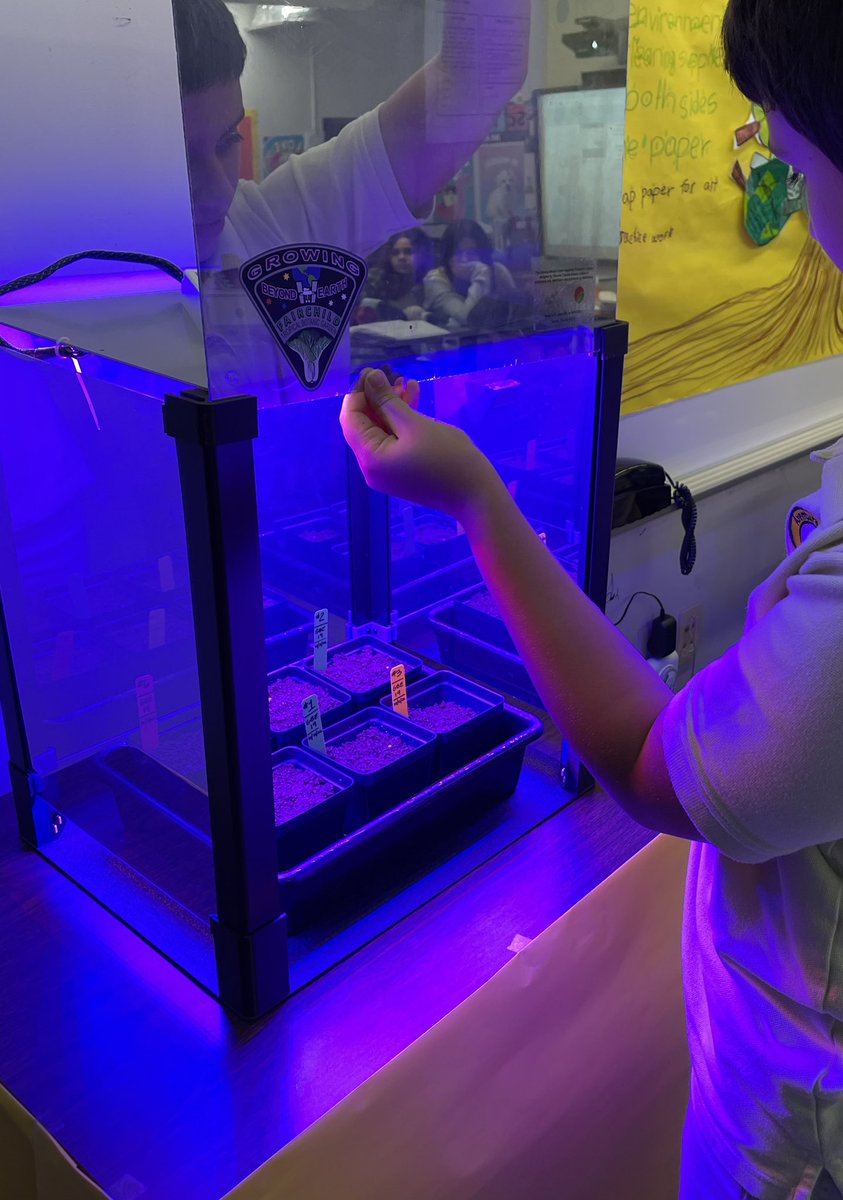 Ms Ro-Do tweet media