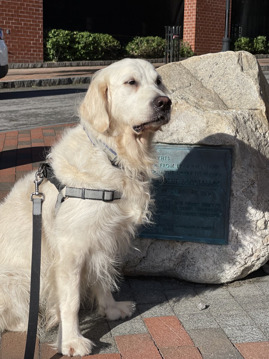 RiverOfNYC's tweet photo. walked @epcostello around Portland and took these #selfies please enjoy https://t.co/zDrNRSth6u