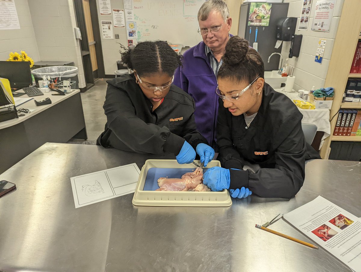 jenn101082's tweet photo. Dissecting a chicken leg quarter to better understand the skeletal and muscular systems @OATCRoadrunners @OlatheCTE https://t.co/Rsw0SfvetH