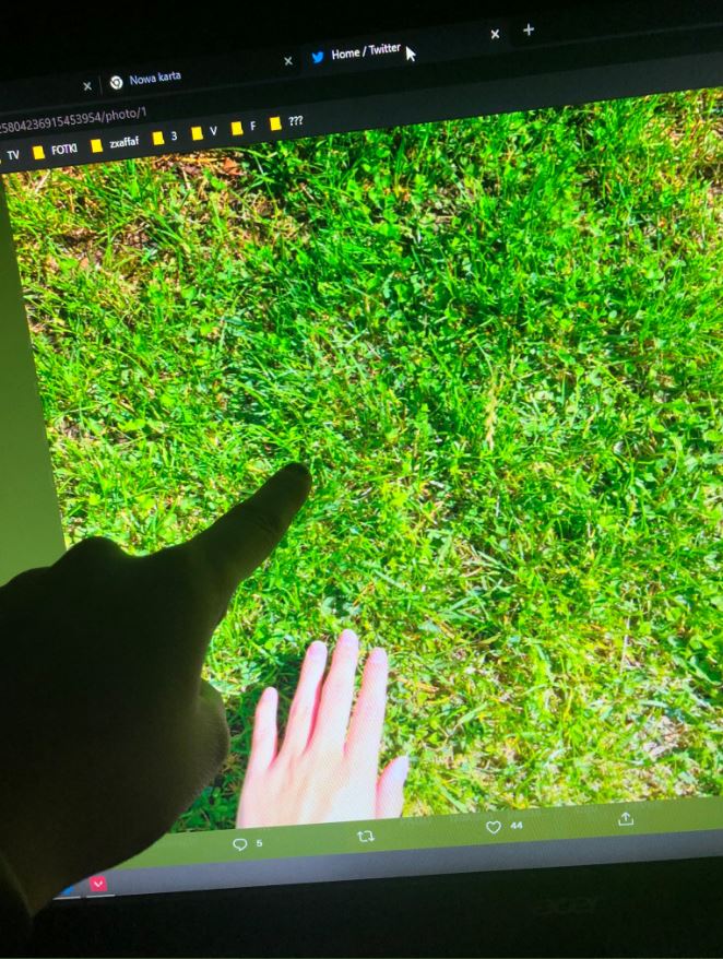 Allenwinden360's tweet photo. @vanessaahlstrom touched grass, ez 🙃 https://t.co/VXsSkBX7UL
