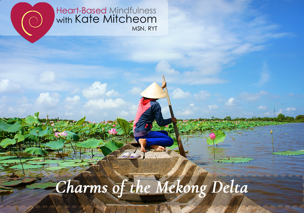 KateMitcheom's tweet photo. $1000 off Mekong extended | One year from today — 10/6/23 - https://t.co/QhMXdF0xzg https://t.co/aJ1U2AbX2C