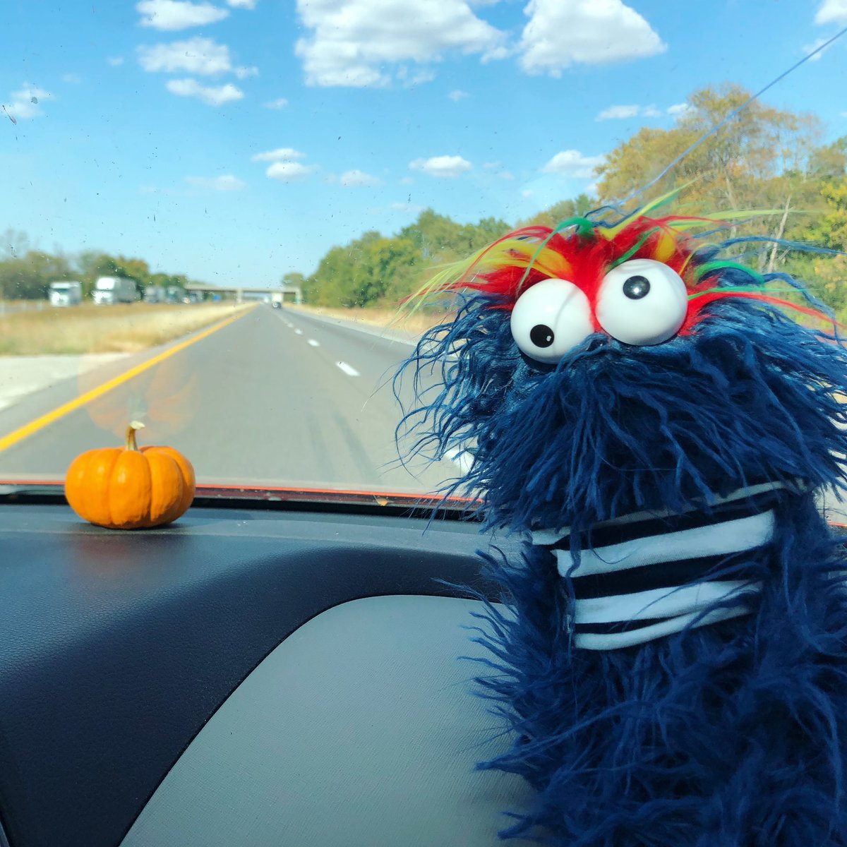 I’m going on an adventure, guys! #roadtrip #puppet #puppetsoftwitter #muppets #puppetry
